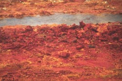 Hot soil near Nalychevo springs